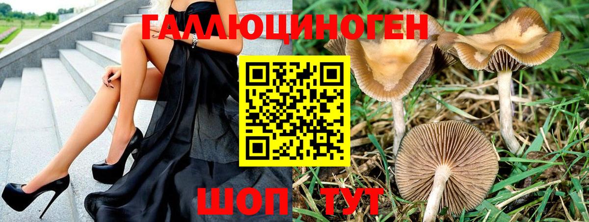 Псилоцибиновые грибы Cubensis  Вход с VPN  Абинск 