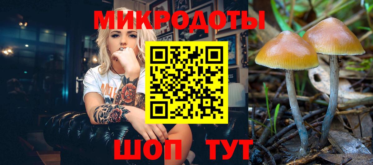 Галлюциногенные грибы прущие грибы Абинск